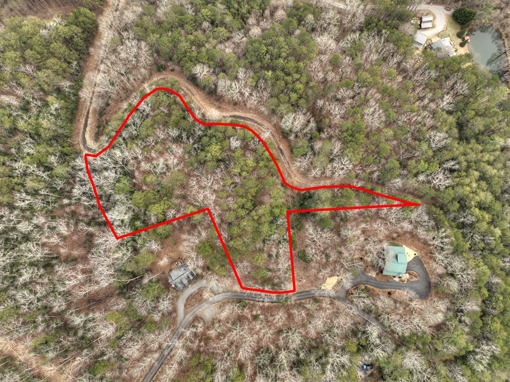 2.56-ac Trackside Lane Blue Ridge, GA 30513 - Photo 7 of 26