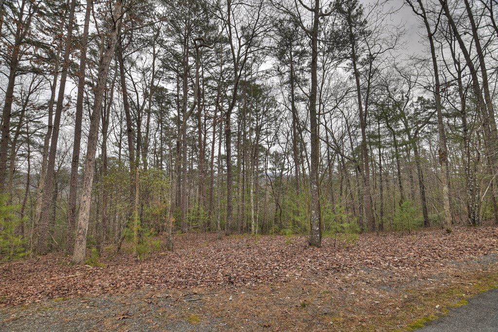 2.56-ac Trackside Lane Blue Ridge, GA 30513 - Photo 8 of 26