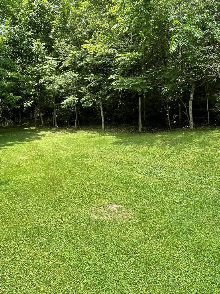 2903 Odd Road Odd, WV 25902 - Photo 40 of 41 Gallery Image 40