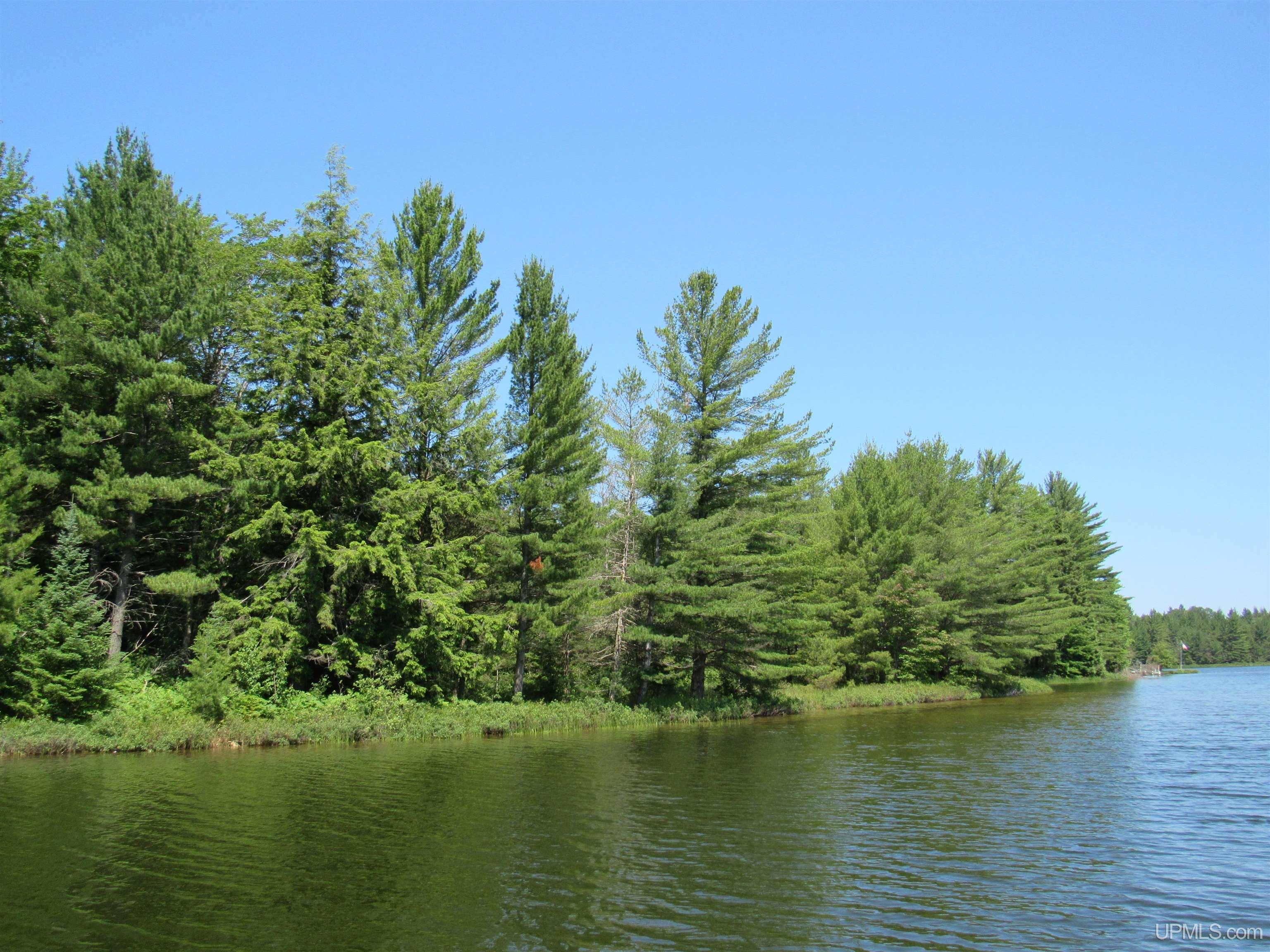 3974 North Hayward (access To Angel Island) Road Munising, MI 49862 - Photo 17 of 92
