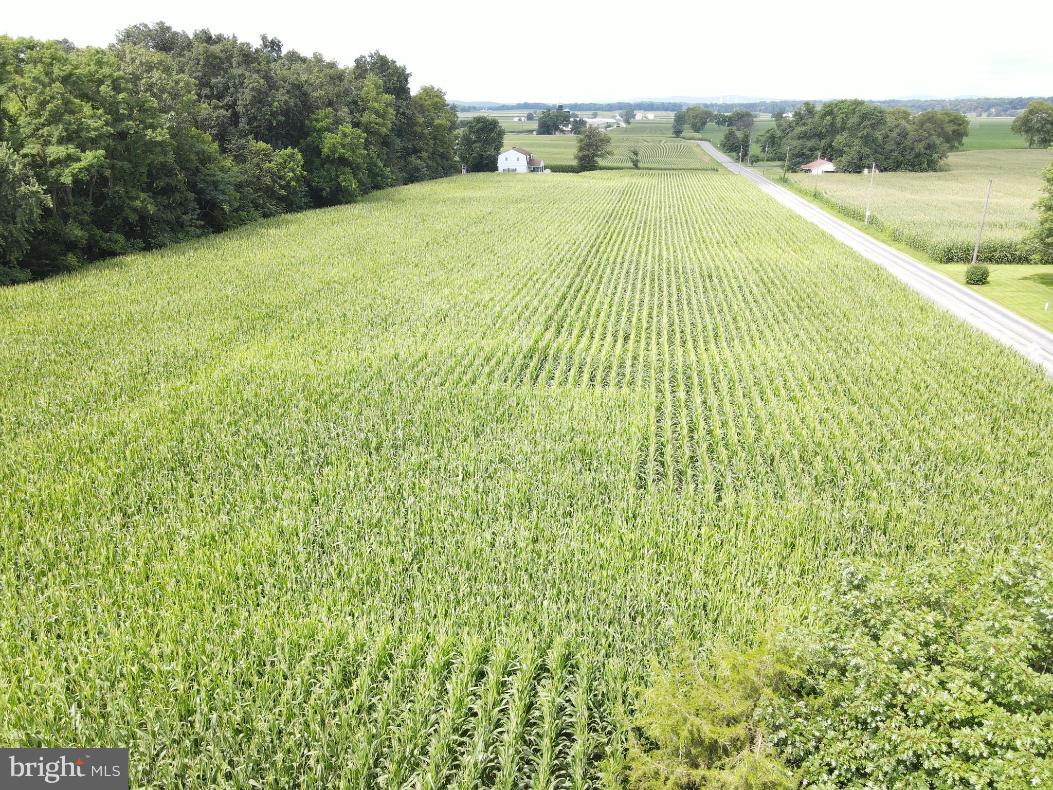 1411 Maytown Road Elizabethtown, PA 17022 - Photo 44 of 75 Gallery Image 44