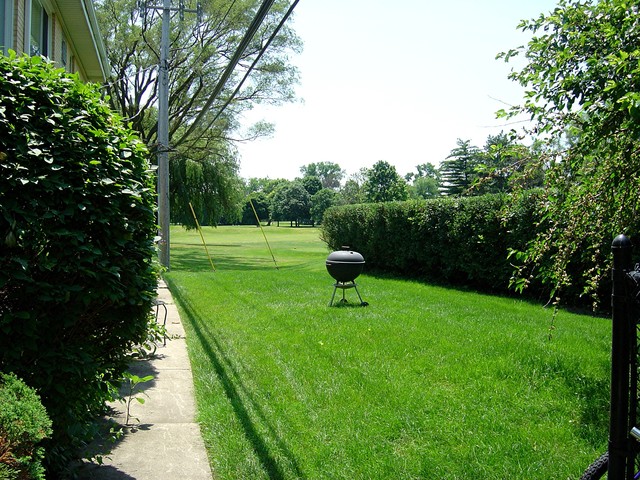 954 Shermer Road, Unit 8 Glenview, IL 60025 - Photo 8 of 8