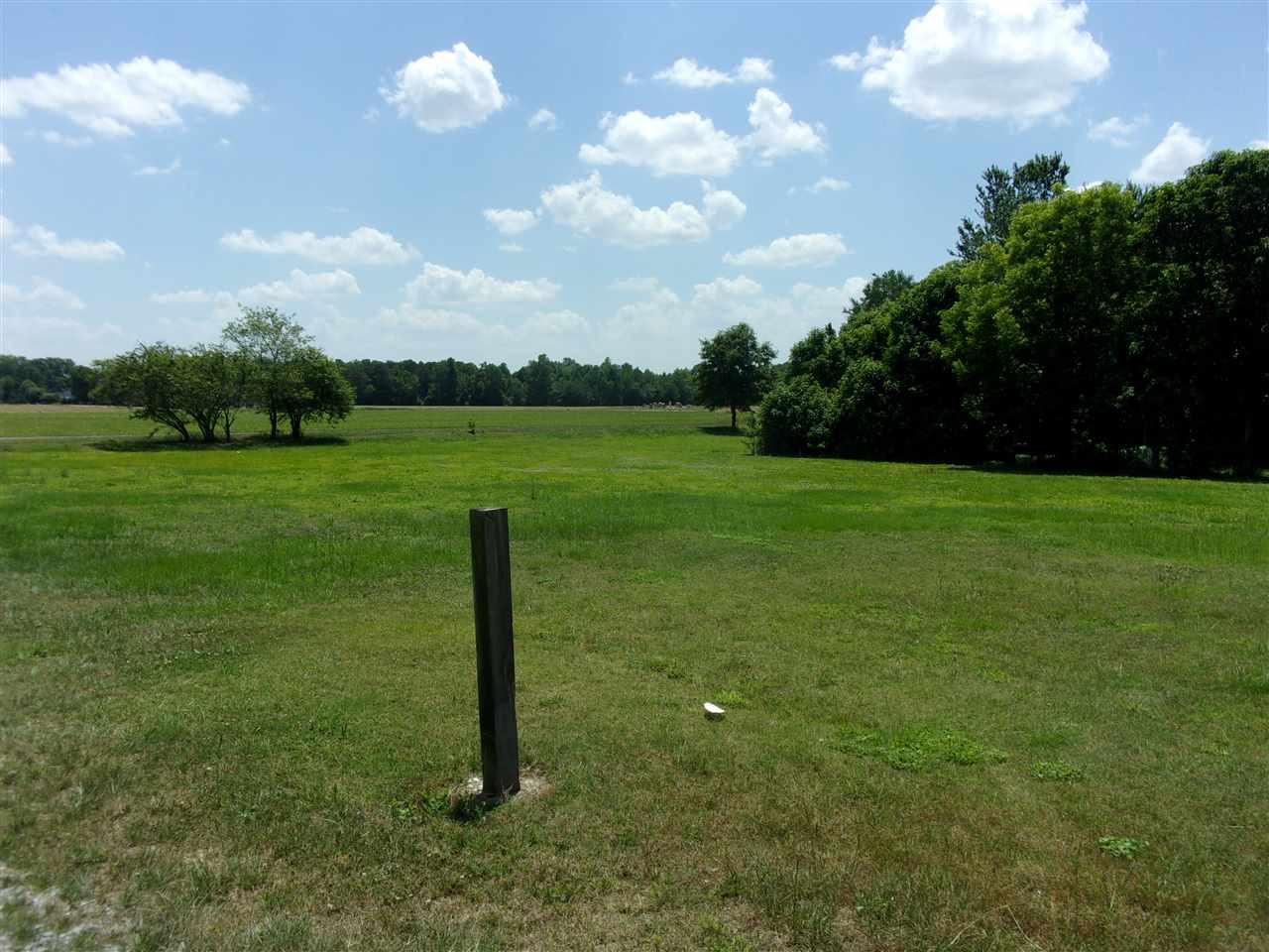 989 Scott Road Kenly, NC 27542 - Photo 13 of 17 Photo 13