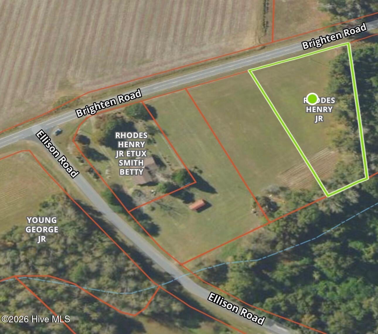 .92-ac Brighten Road Riegelwood, NC 28456 - Photo 4 of 6