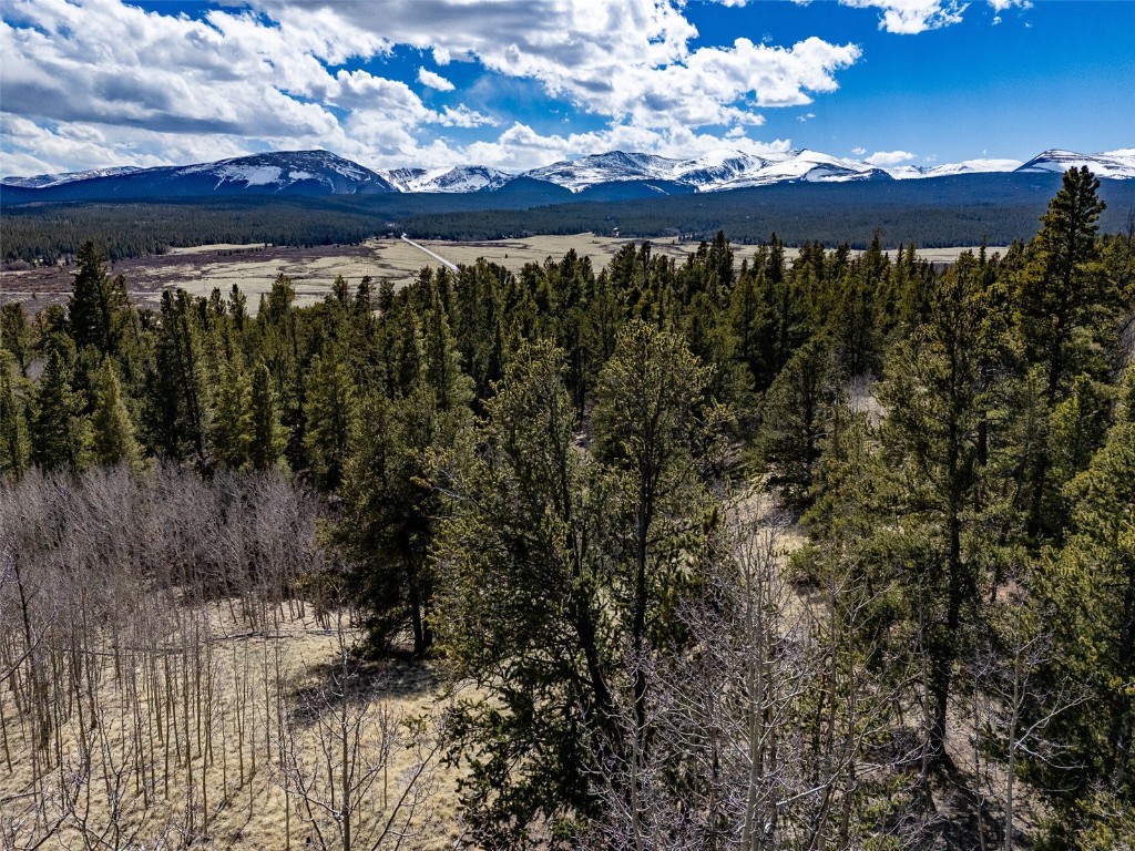 232 Quarry Road Fairplay, CO 80440 - Photo 44 of 49 Gallery Image 44
