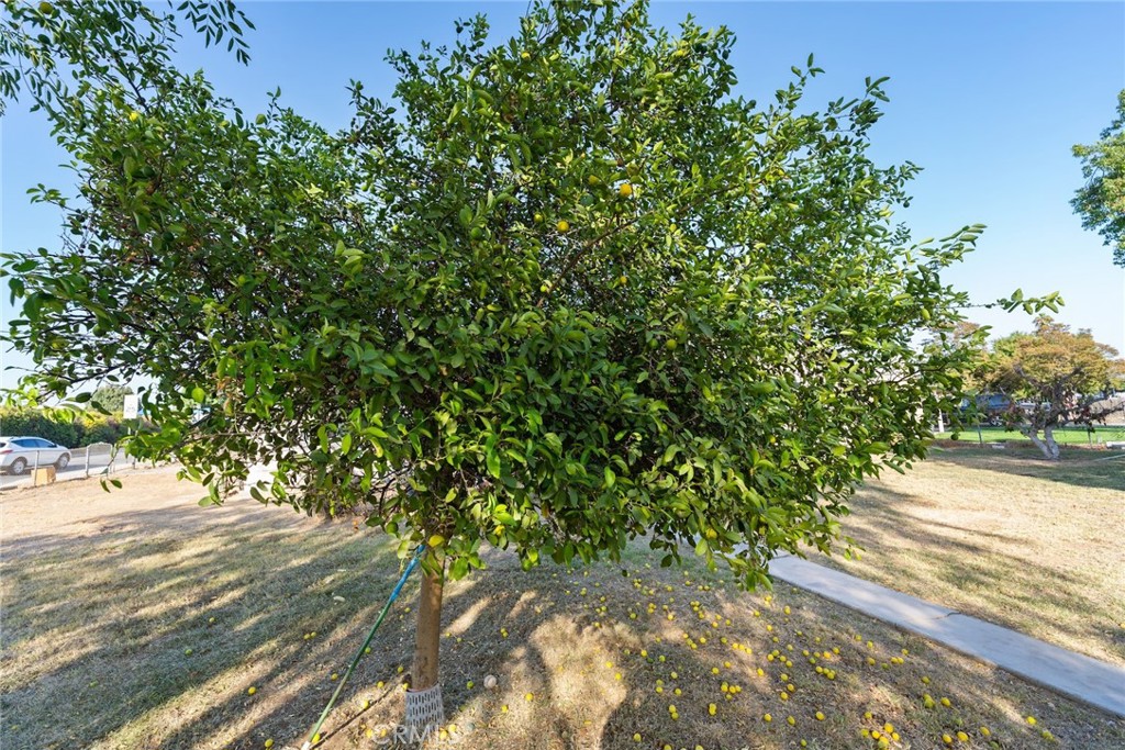 8925 Penny Drive Riverside, CA 92503 - Photo 47 of 48 a view of a yard with an outdoor space