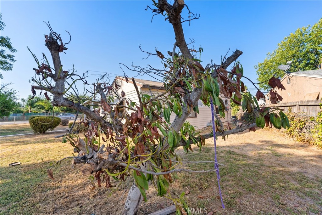 8925 Penny Drive Riverside, CA 92503 - Photo 48 of 48 a view of a backyard of the house