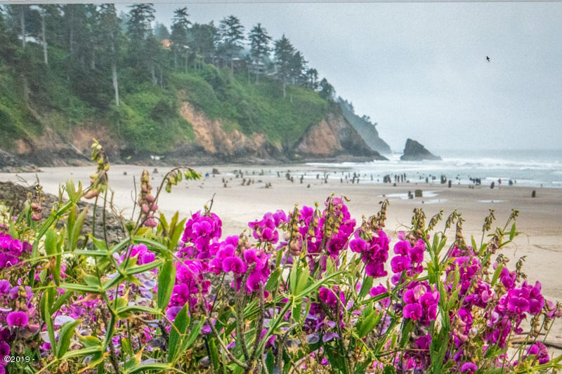 6005 Rowan Road Neskowin, OR 97149 - Photo 11 of 12 Neskowin Ghost Forest