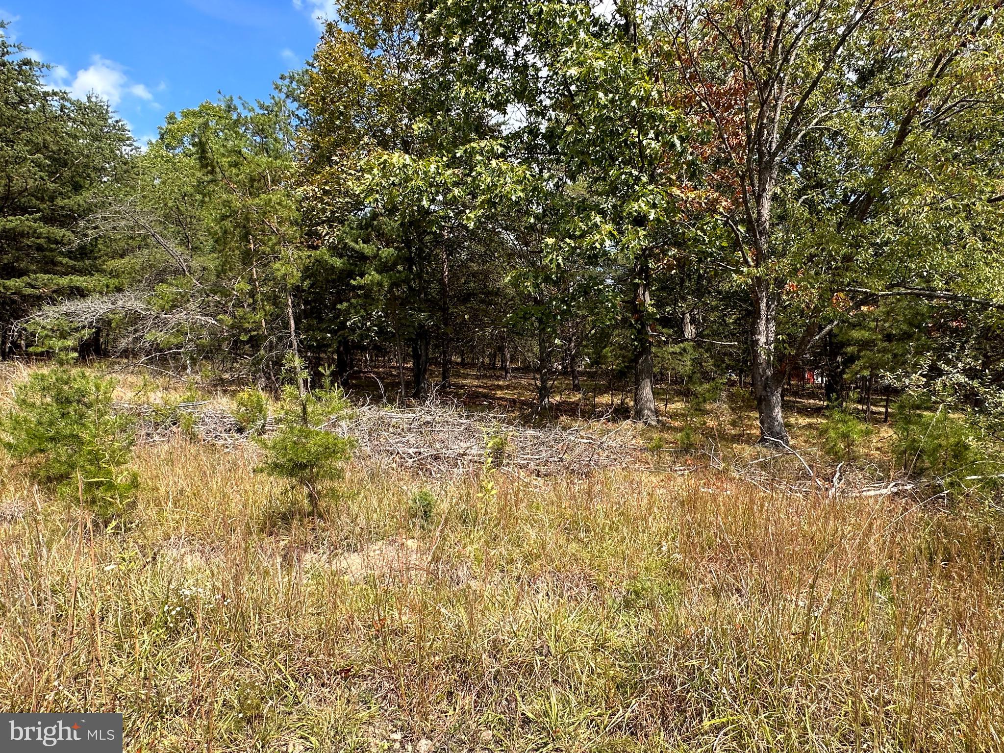Knobley Road Keyser, WV 26726 - Photo 8 of 19