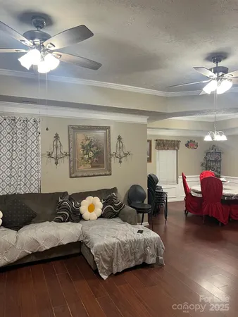 a living room with furniture flowerpot and a chandelier