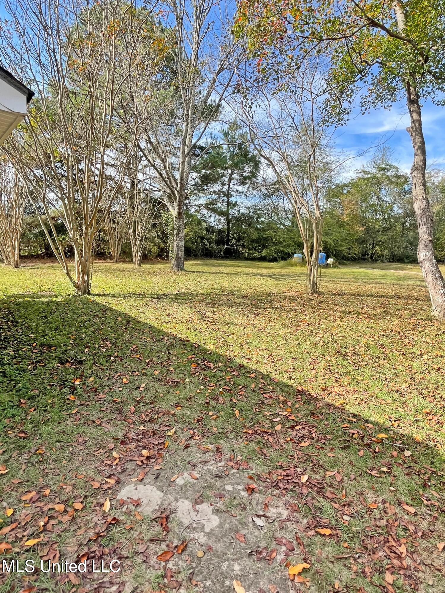 141 John Smith Road Poplarville, MS 39470 - Photo 7 of 28 IMG_3935