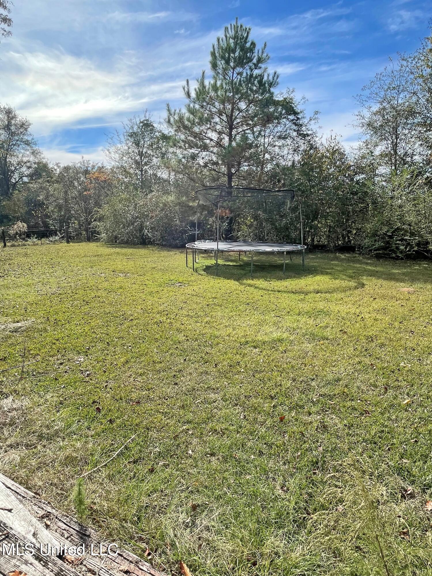 141 John Smith Road Poplarville, MS 39470 - Photo 8 of 28 Backyard