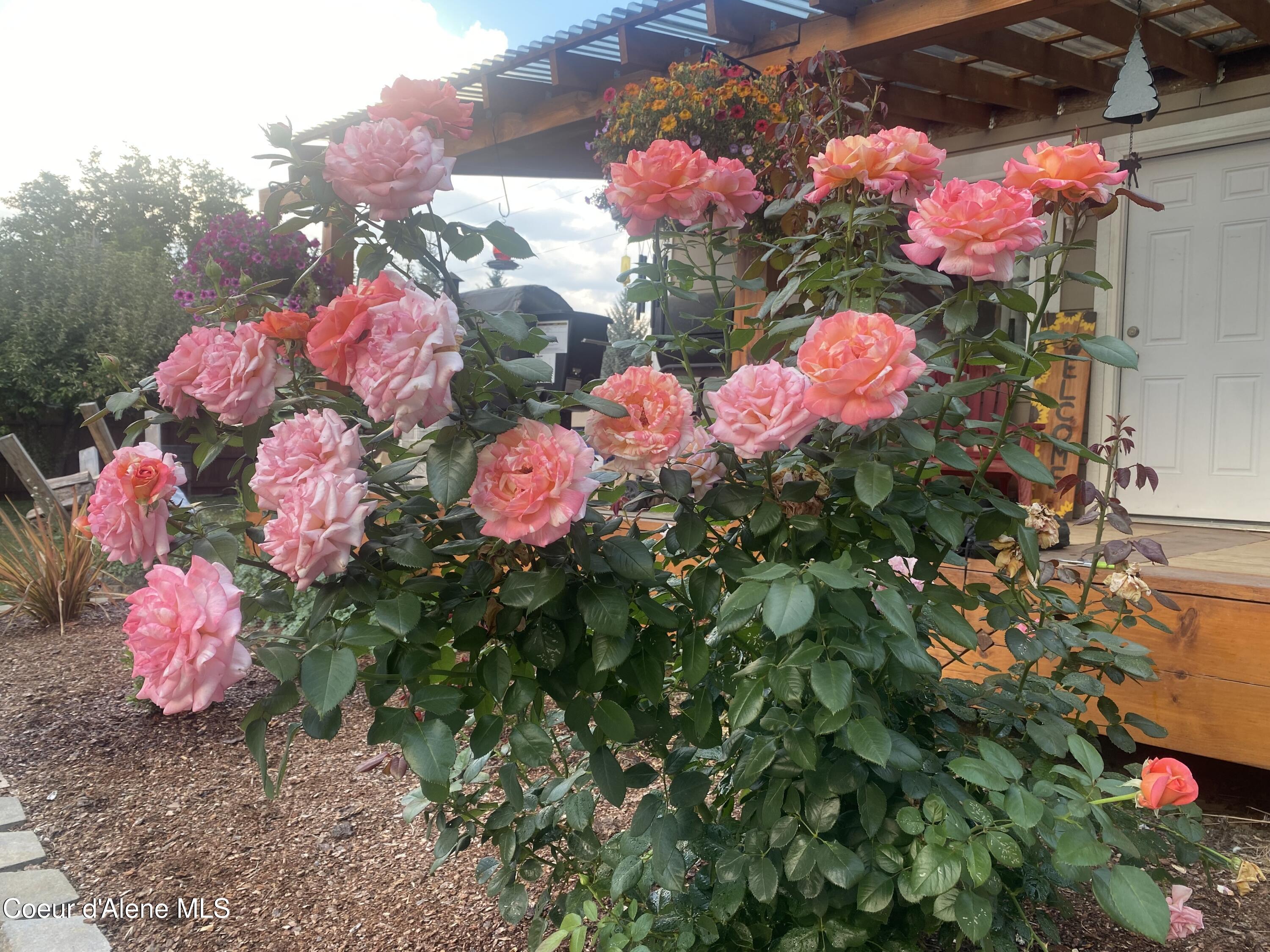 5898 Main Street Bonners Ferry, ID 83805 - Photo 40 of 41 IMG_6839