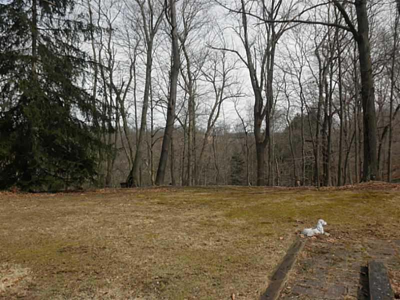 1432 Spring Run Road Extension Coraopolis, PA 15108 - Photo 5 of 25 Exterior Back. Right rear yard.