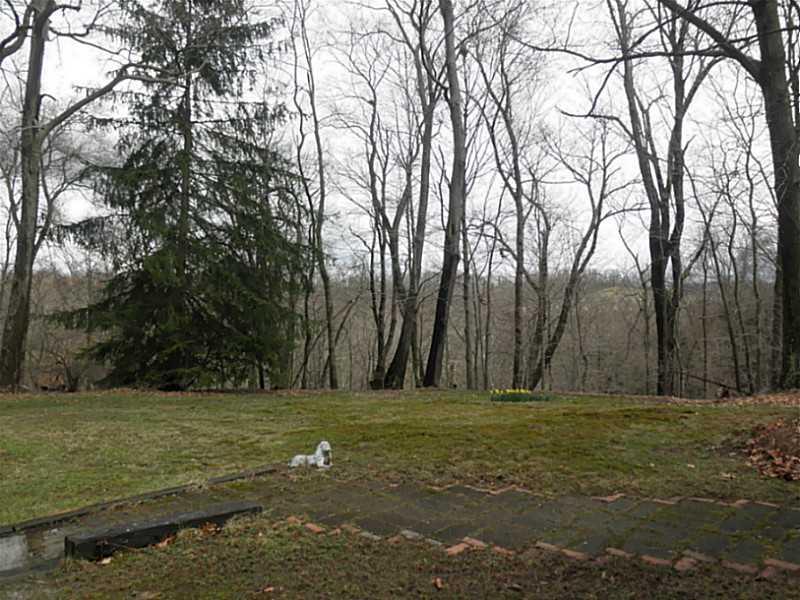 1432 Spring Run Road Extension Coraopolis, PA 15108 - Photo 6 of 25 Exterior Back. Right rear yard.
