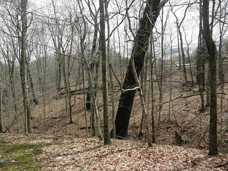 1432 Spring Run Road Extension Coraopolis, PA 15108 - Photo 7 of 25 Exterior Back. Right side yard.