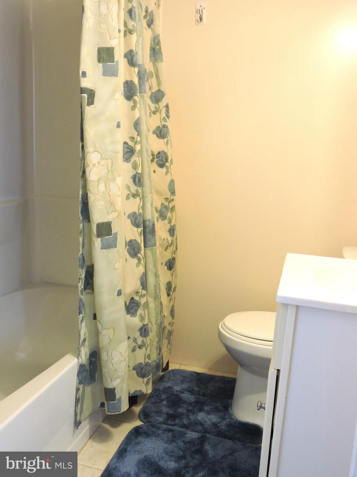 3716 Greenvale Road Baltimore, MD 21229 - Photo 16 of 20 Bath