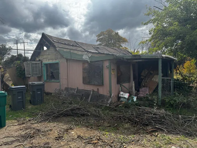 a view of a backyard with of the tree and a wooden fence