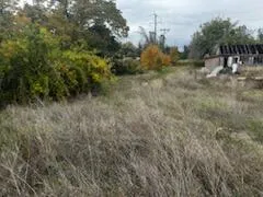 a view of a dry yard with trees