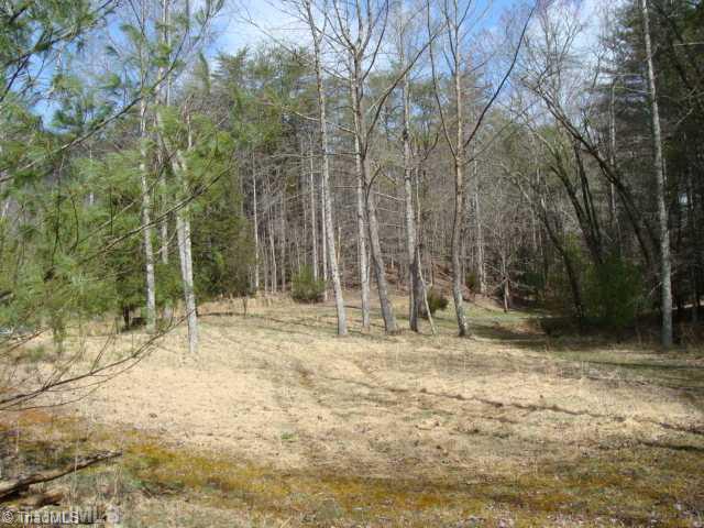 0 Grissel Tail Road Traphill, NC 28685 - Photo 1 of 13 Land/Lot. Tranquil Beauty.