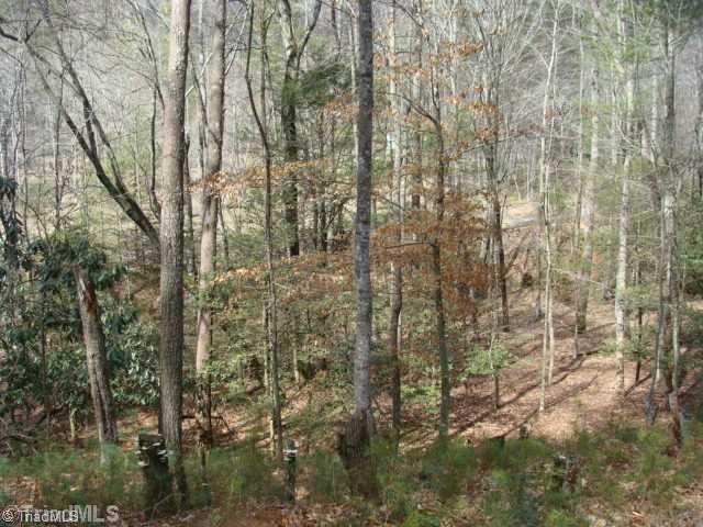 0 Grissel Tail Road Traphill, NC 28685 - Photo 11 of 13 Land/Lot. View from your Turtle Knob.