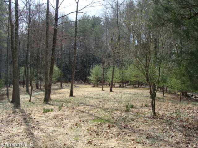0 Grissel Tail Road Traphill, NC 28685 - Photo 12 of 13 Land/Lot. Garden in your meadow or Have a Horse!