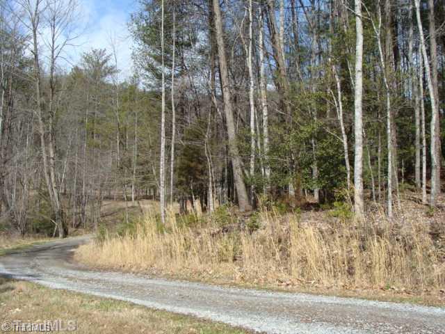 0 Grissel Tail Road Traphill, NC 28685 - Photo 13 of 13 Land/Lot. Gravel lane leading Home.