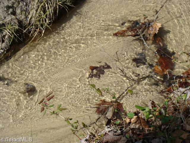 0 Grissel Tail Road Traphill, NC 28685 - Photo 5 of 13 Land/Lot. Your own crystal clear babbling Brook.