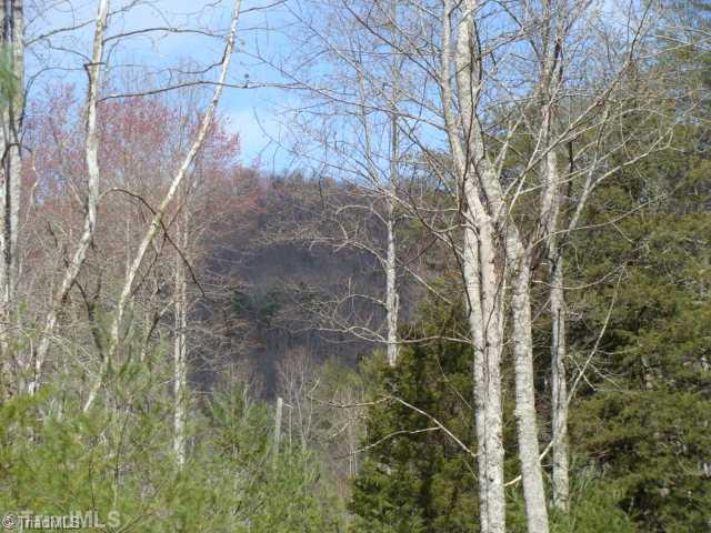 0 Grissel Tail Road Traphill, NC 28685 - Photo 8 of 13 Land/Lot. View of surrounding wilderness.