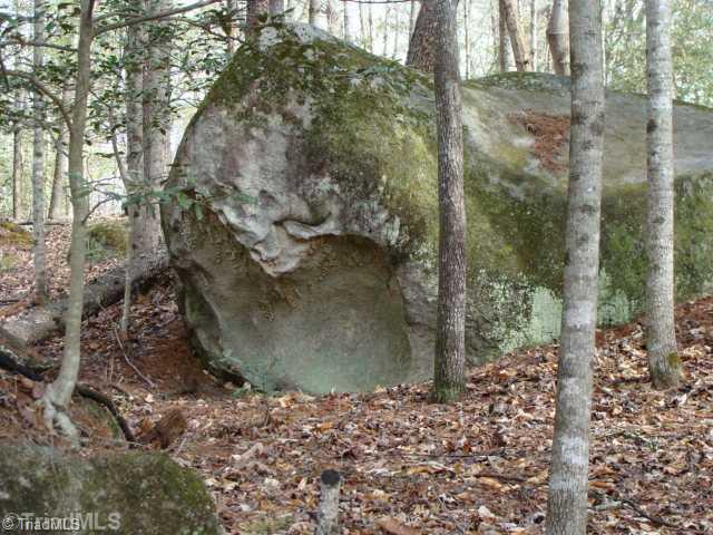 0 Grissel Tail Road Traphill, NC 28685 - Photo 9 of 13 Land/Lot. The Turtle Knob!!!!!!!!!!!!!