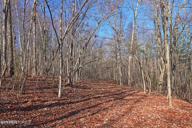 $400,000 | 72 Cole Place Road, Allardt, TN 38504