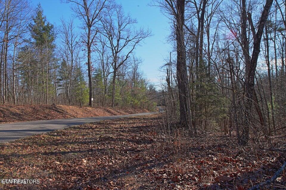 72 Cole Place Road Allardt, TN 38504 - Photo 12 of 13 12