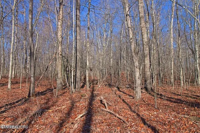 $400,000 | 72 Cole Place Road, Allardt, TN 38504