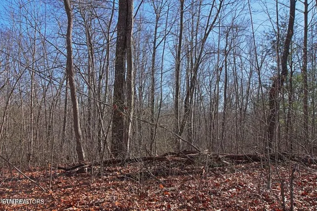 $400,000 | 72 Cole Place Road, Allardt, TN 38504