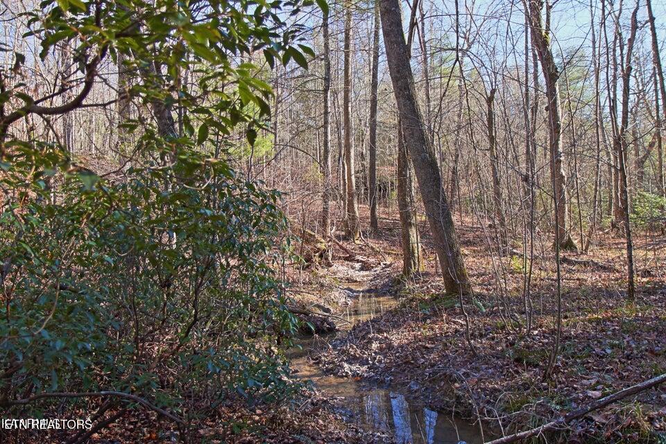 72 Cole Place Road Allardt, TN 38504 - Photo 5 of 13 5