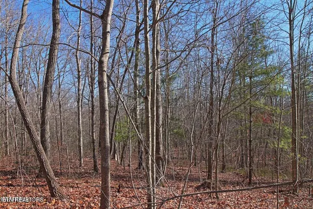 $400,000 | 72 Cole Place Road, Allardt, TN 38504