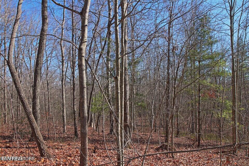 72 Cole Place Road Allardt, TN 38504 - Photo 7 of 13 7
