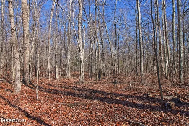 $400,000 | 72 Cole Place Road, Allardt, TN 38504