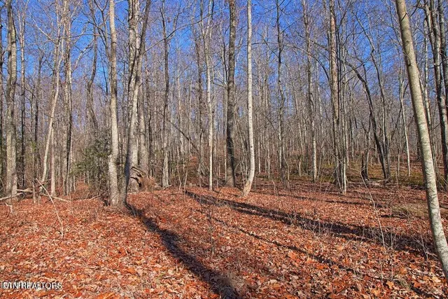 $400,000 | 72 Cole Place Road, Allardt, TN 38504