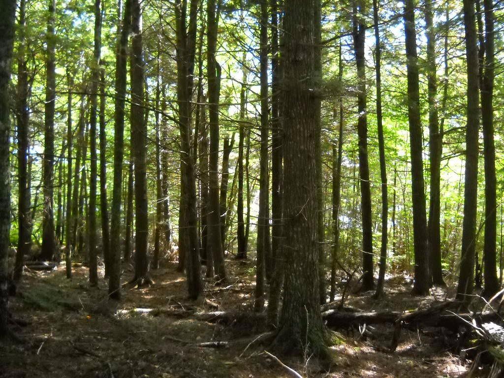 167 Silsby Road Ellsworth, ME 04605 - Photo 8 of 10 Photo