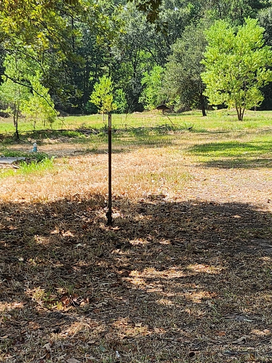 26002 Roping Pen Road Splendora, TX 77372 - Photo 5 of 7 a view of a yard with a large trees