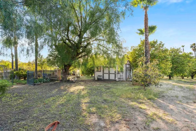 a view of a yard with trees