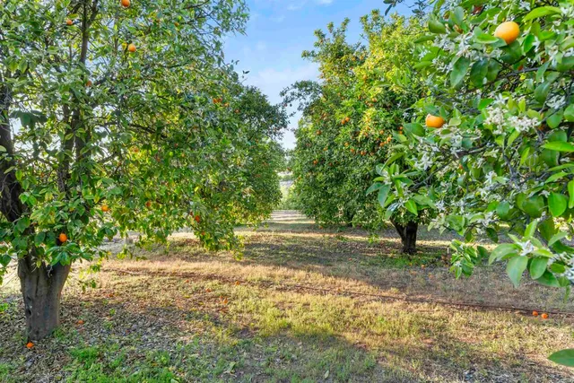 a view of backyard with green space