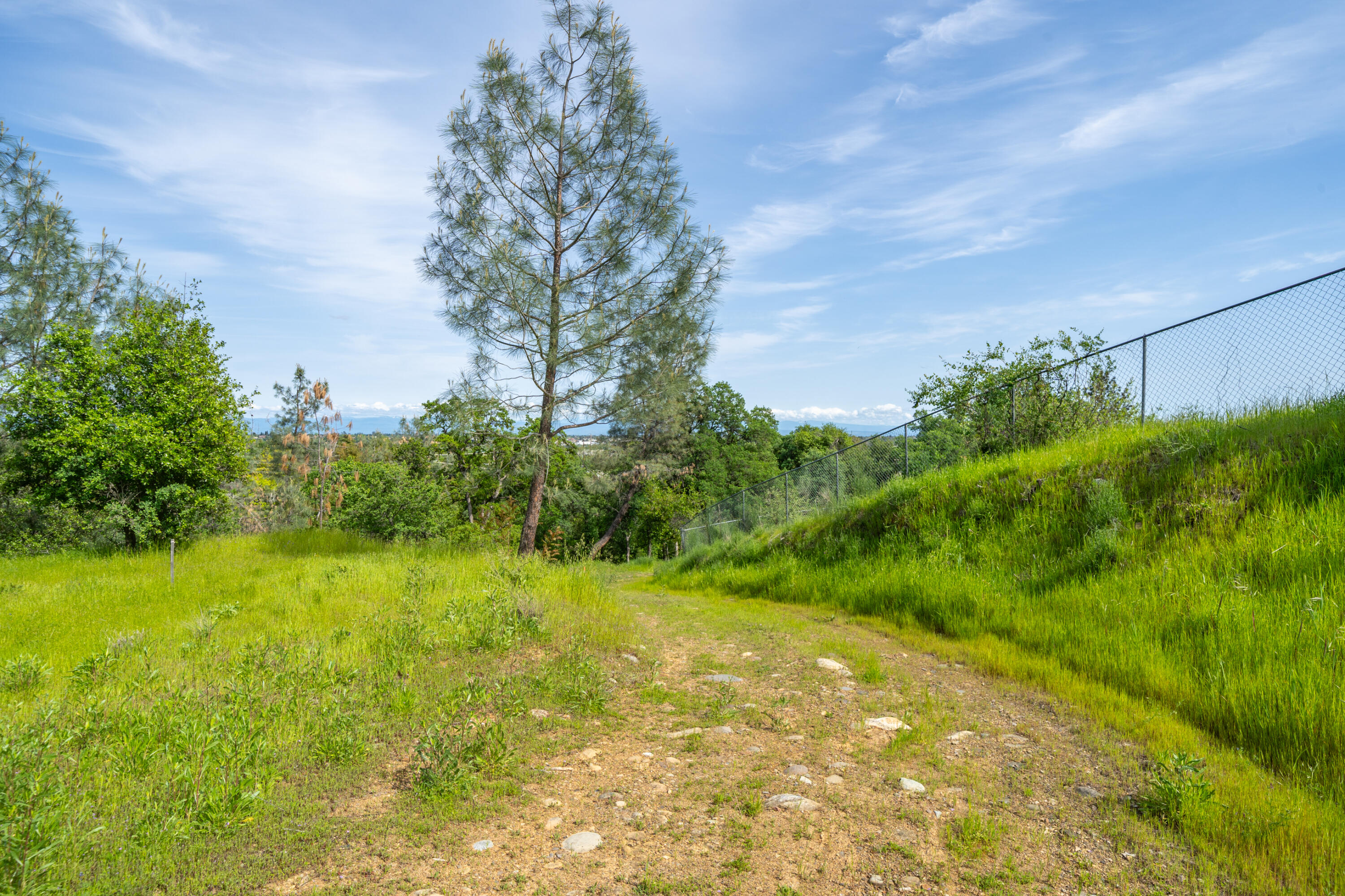 2330 West Street Redding, CA 96001 - Photo 28 of 40 West St-9