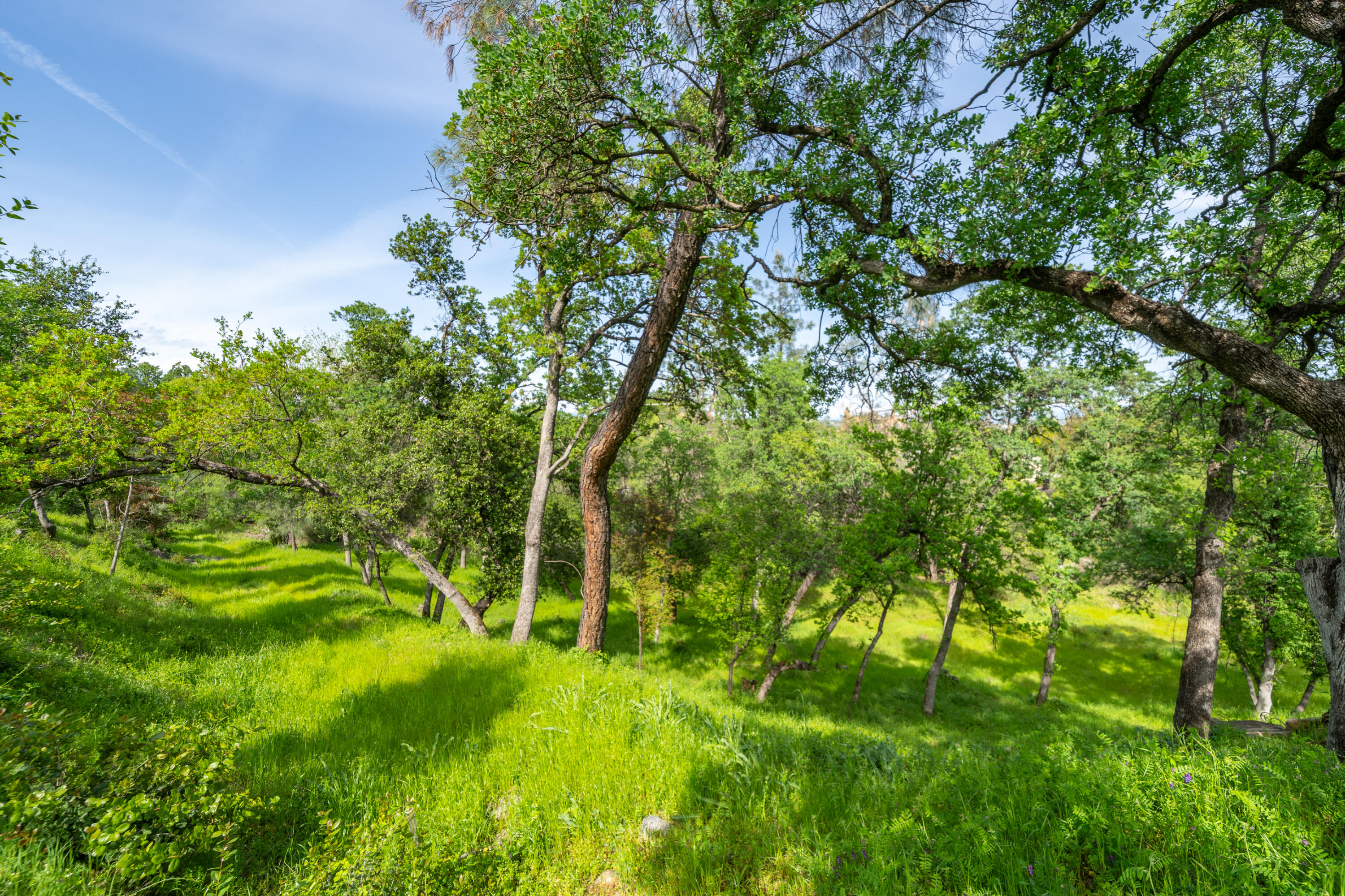 2330 West Street Redding, CA 96001 - Photo 33 of 40 West St-14