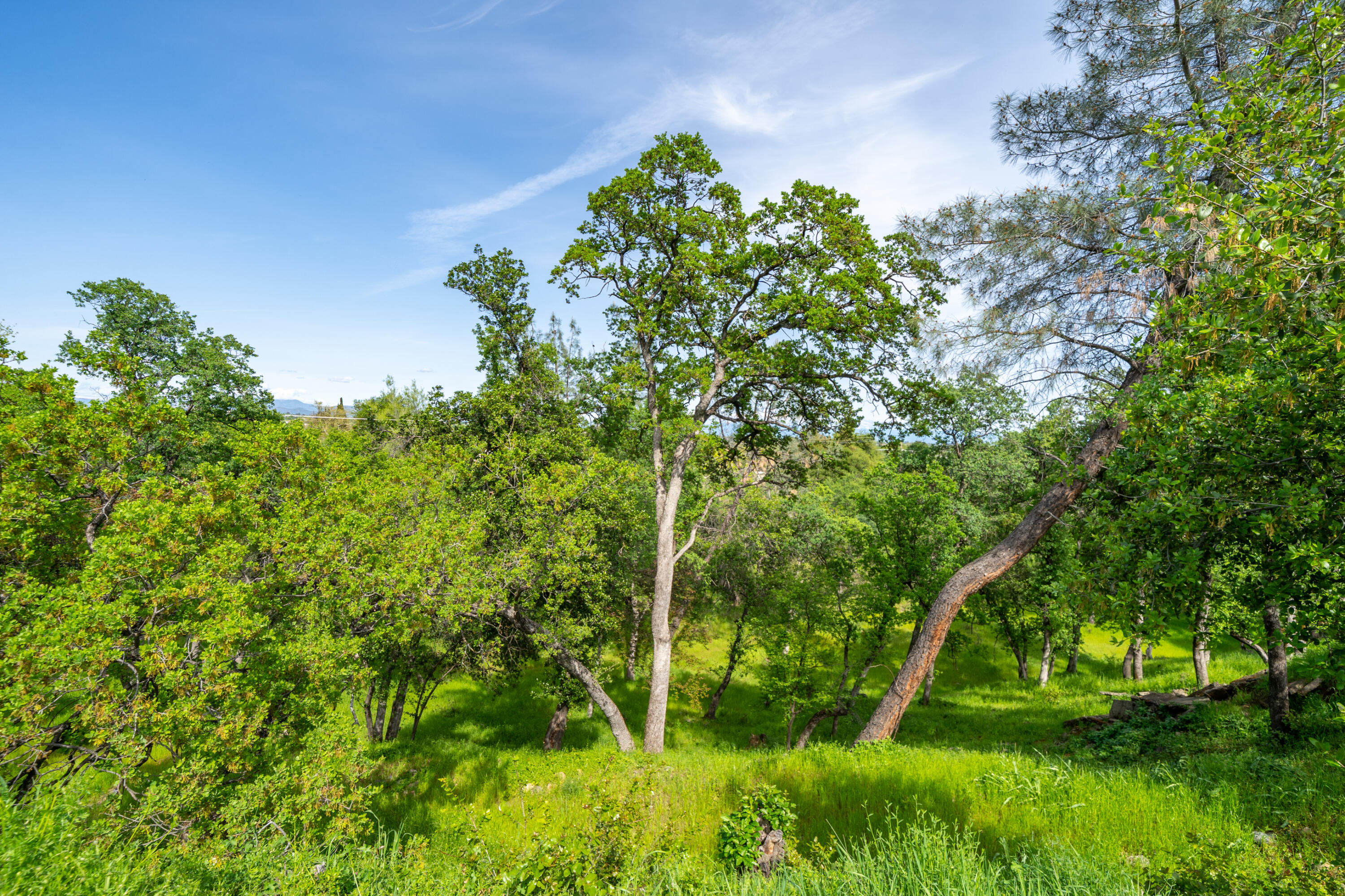 2330 West Street Redding, CA 96001 - Photo 34 of 40 West St-15