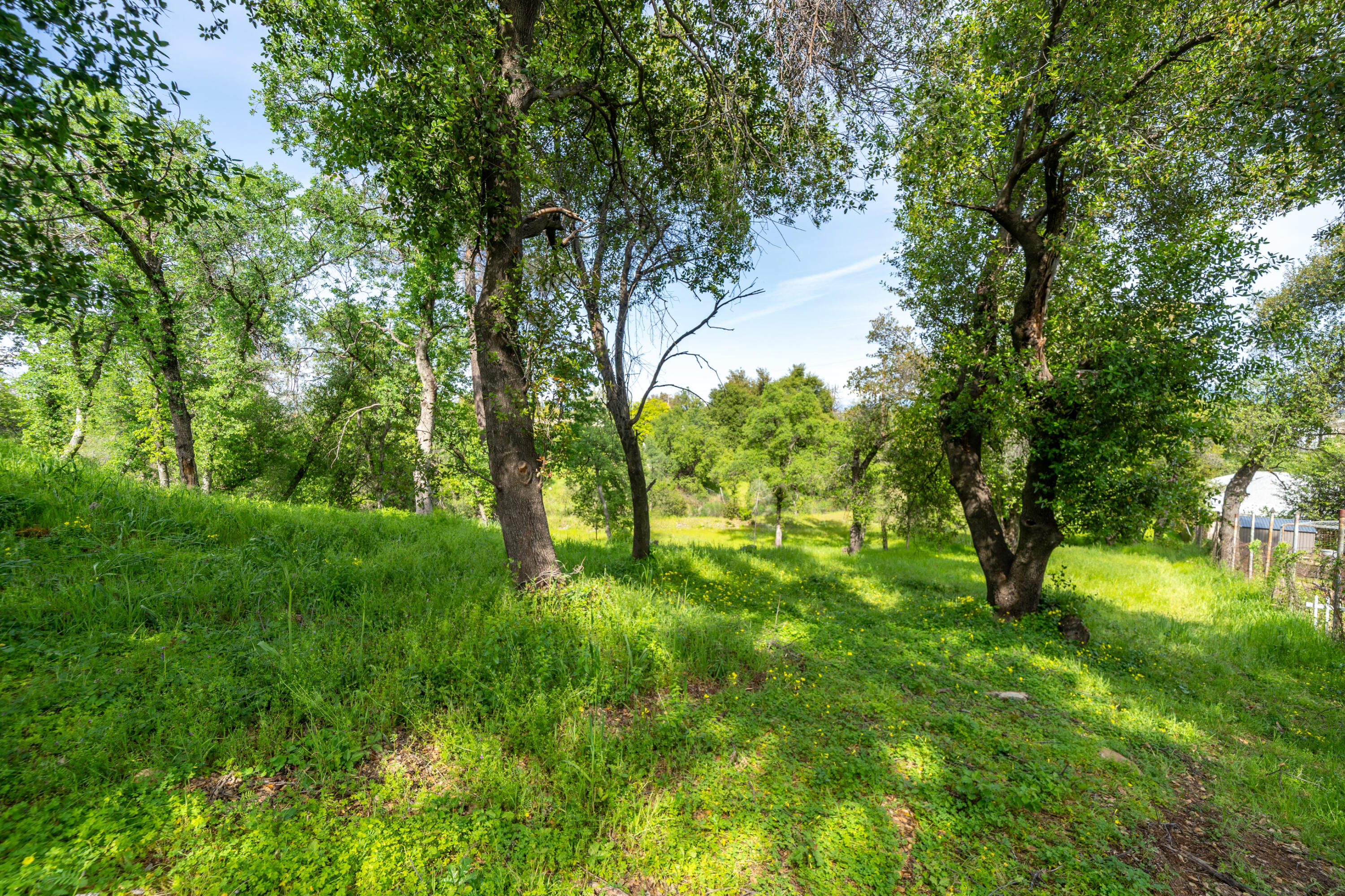 2330 West Street Redding, CA 96001 - Photo 35 of 40 West St-16