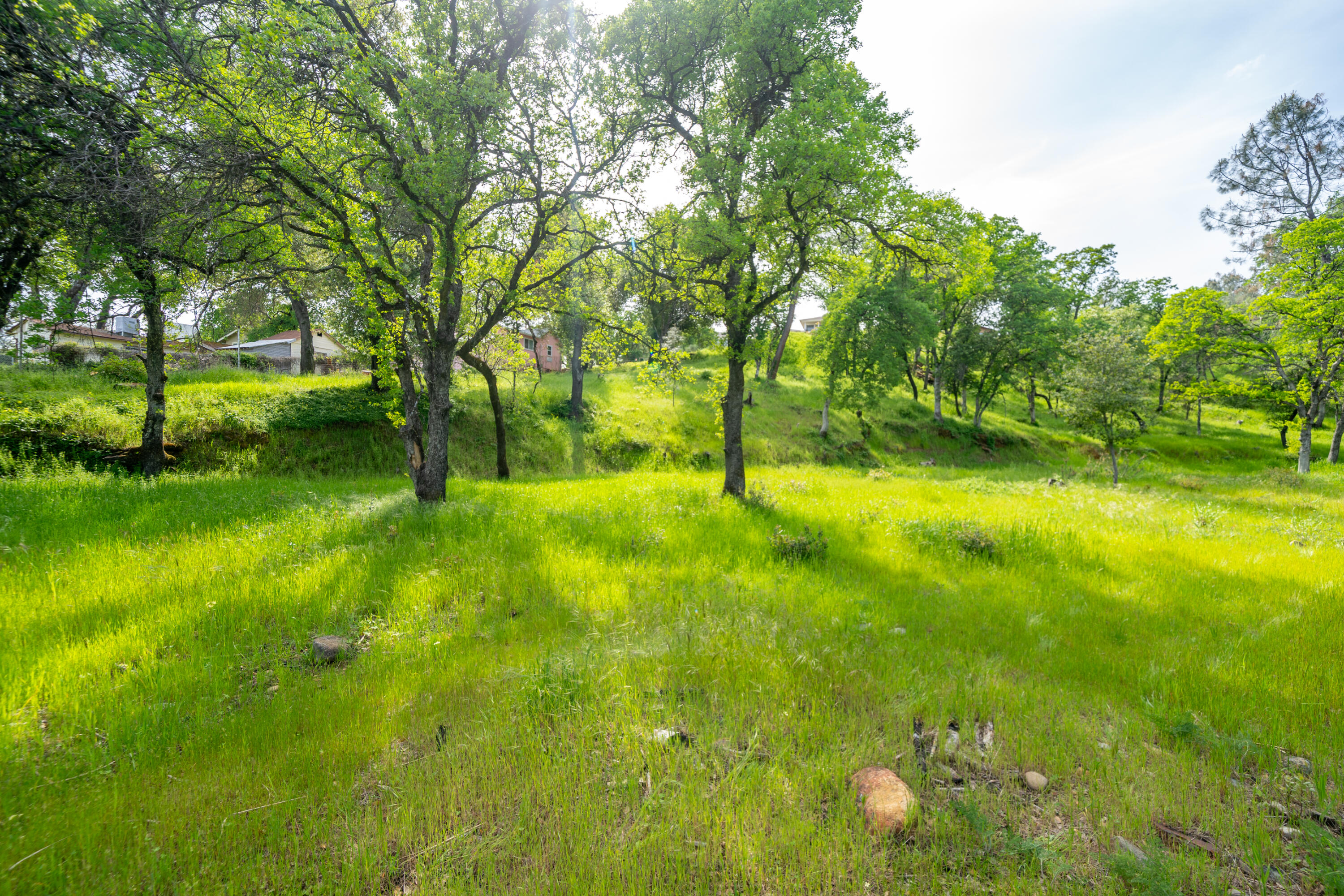 2330 West Street Redding, CA 96001 - Photo 38 of 40 West St-22