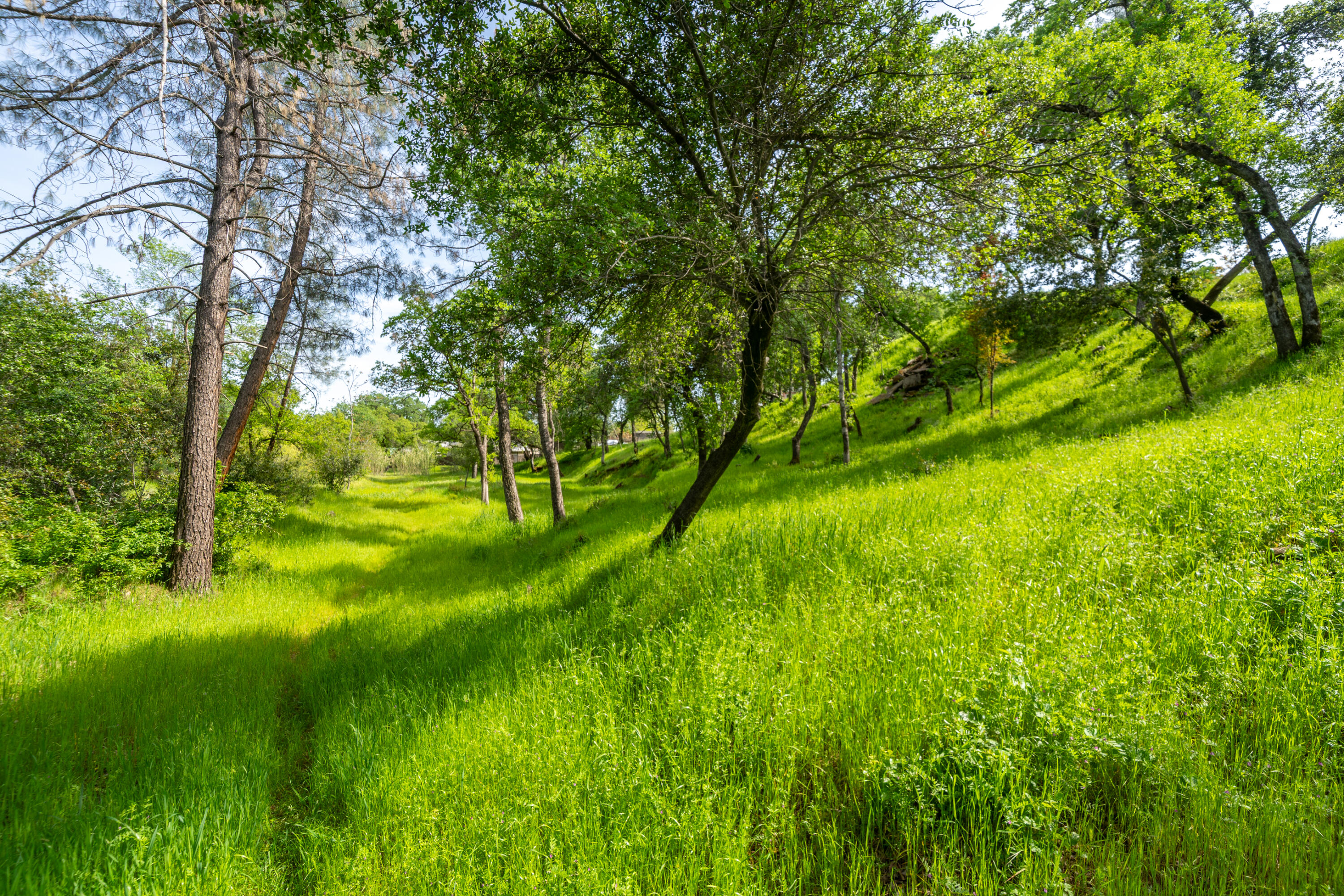 2330 West Street Redding, CA 96001 - Photo 40 of 40 West St-25
