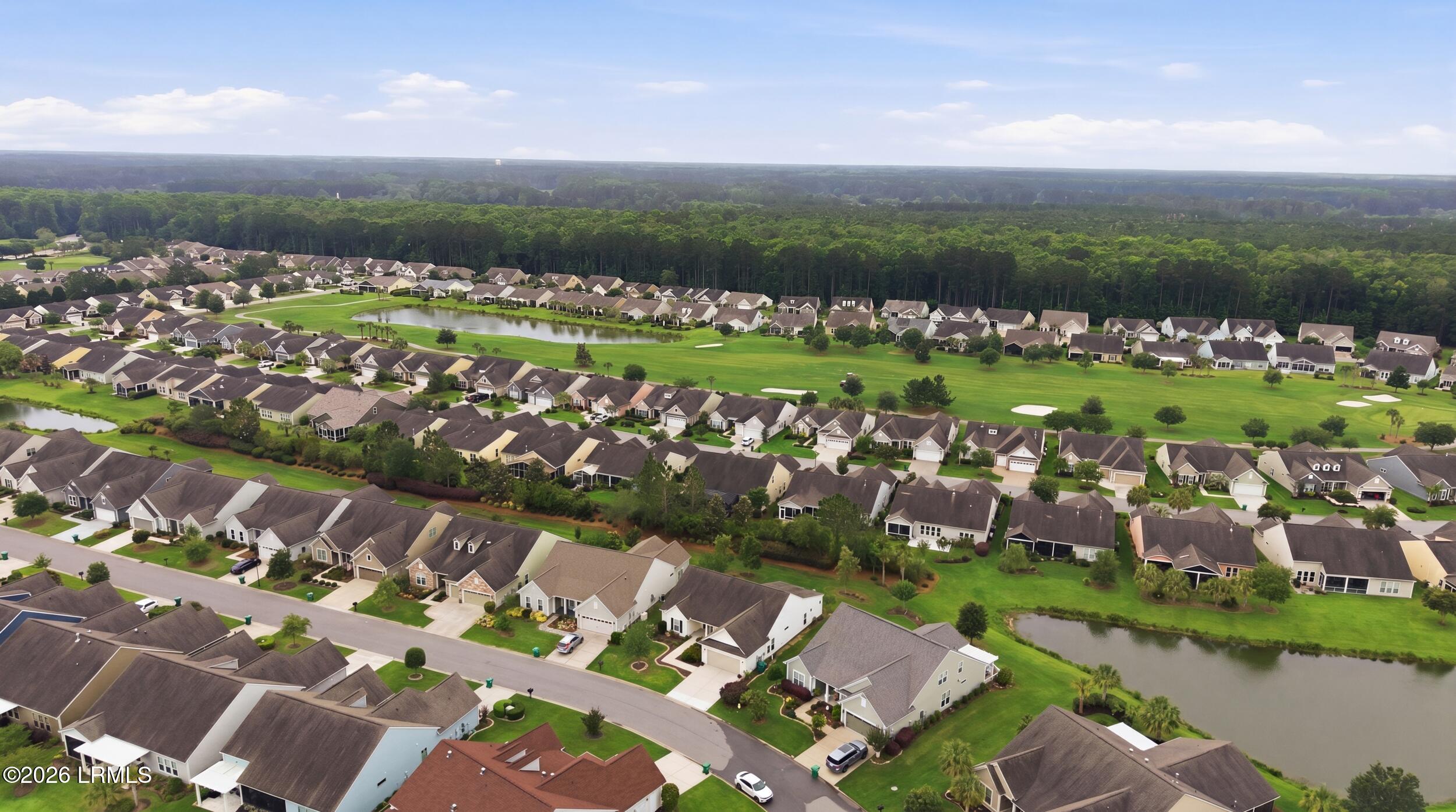 361 Fernleaf Lane Bluffton, SC 29909 - Photo 36 of 47 60_043_dji_20260528124940_0201_d_grass_6